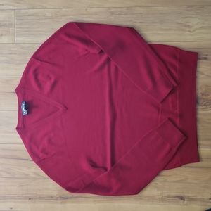 Express Extra Fine Merino Wool V-Neck Sweater